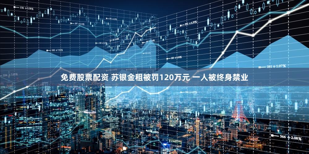 免费股票配资 苏银金租被罚120万元 一人被终身禁业