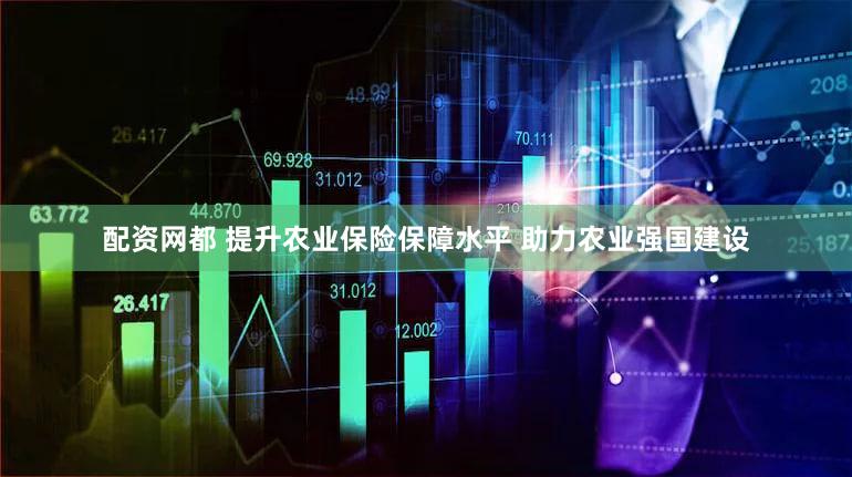 配资网都 提升农业保险保障水平 助力农业强国建设