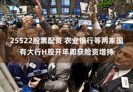 25522股票配资 农业银行等两家国有大行H股开年即获险资增持