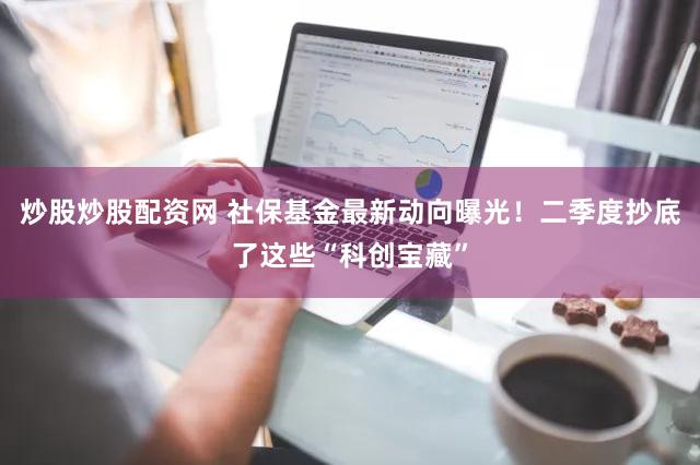 炒股炒股配资网 社保基金最新动向曝光！二季度抄底了这些“科创宝藏”