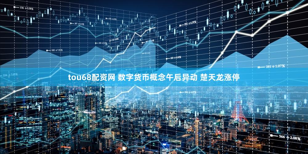 tou68配资网 数字货币概念午后异动 楚天龙涨停