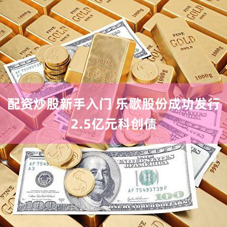 配资炒股新手入门 乐歌股份成功发行2.5亿元科创债