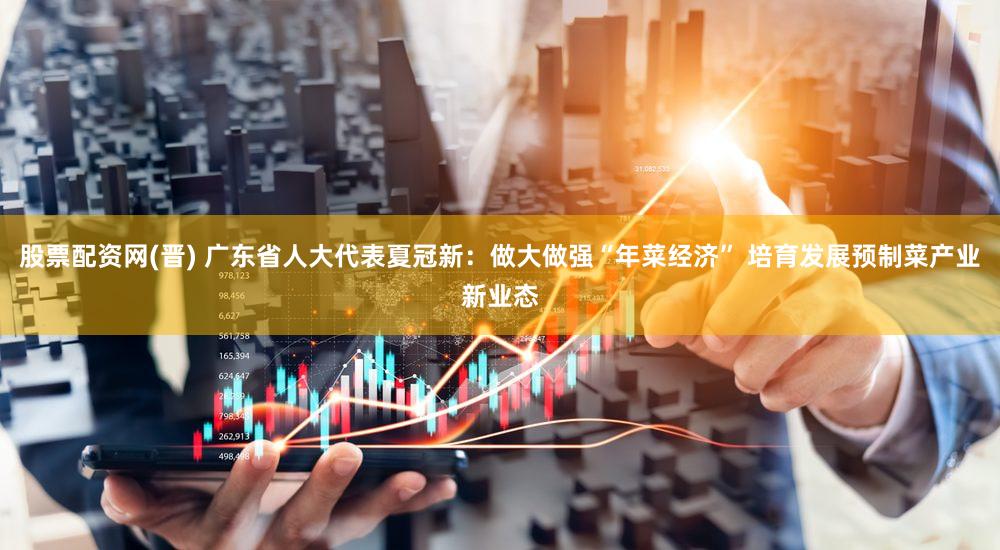 股票配资网(晋) 广东省人大代表夏冠新：做大做强“年菜经济” 培育发展预制菜产业新业态