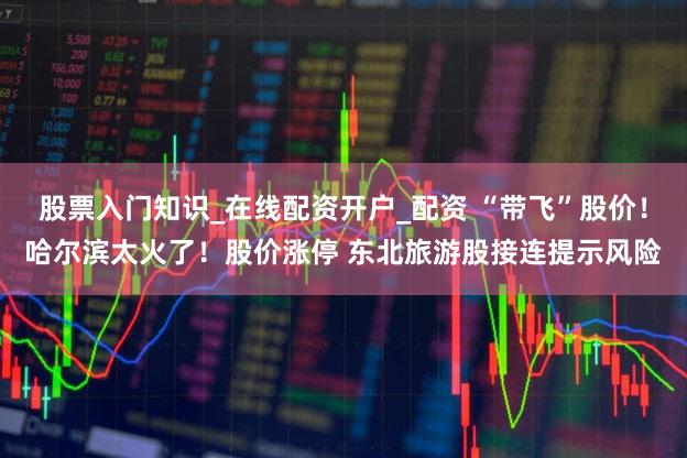股票入门知识_在线配资开户_配资 “带飞”股价!哈尔滨太火了!股价涨停 东北旅游股接连提示风险
