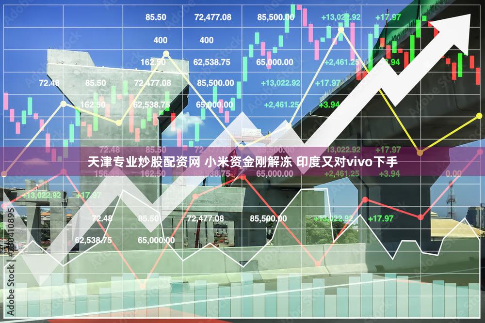 天津专业炒股配资网 小米资金刚解冻 印度又对vivo下手