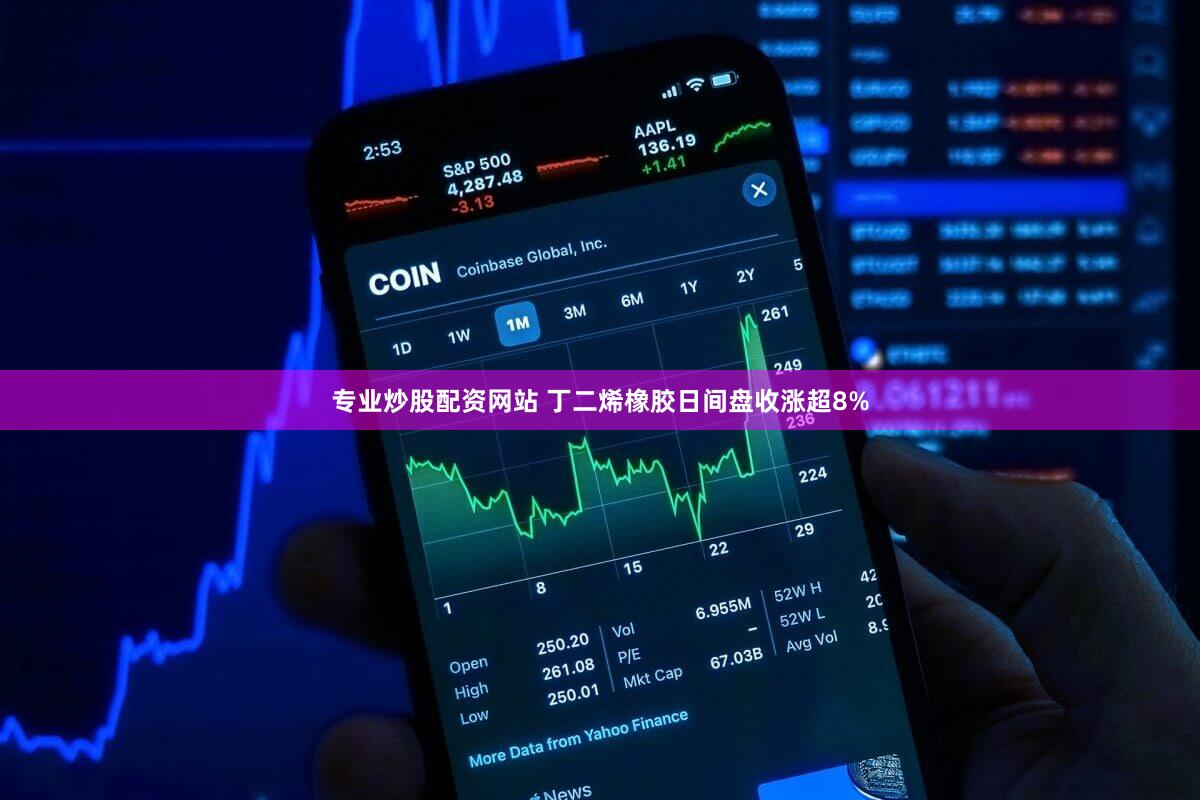 专业炒股配资网站 丁二烯橡胶日间盘收涨超8%