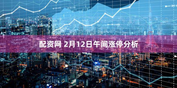 配资网 2月12日午间涨停分析