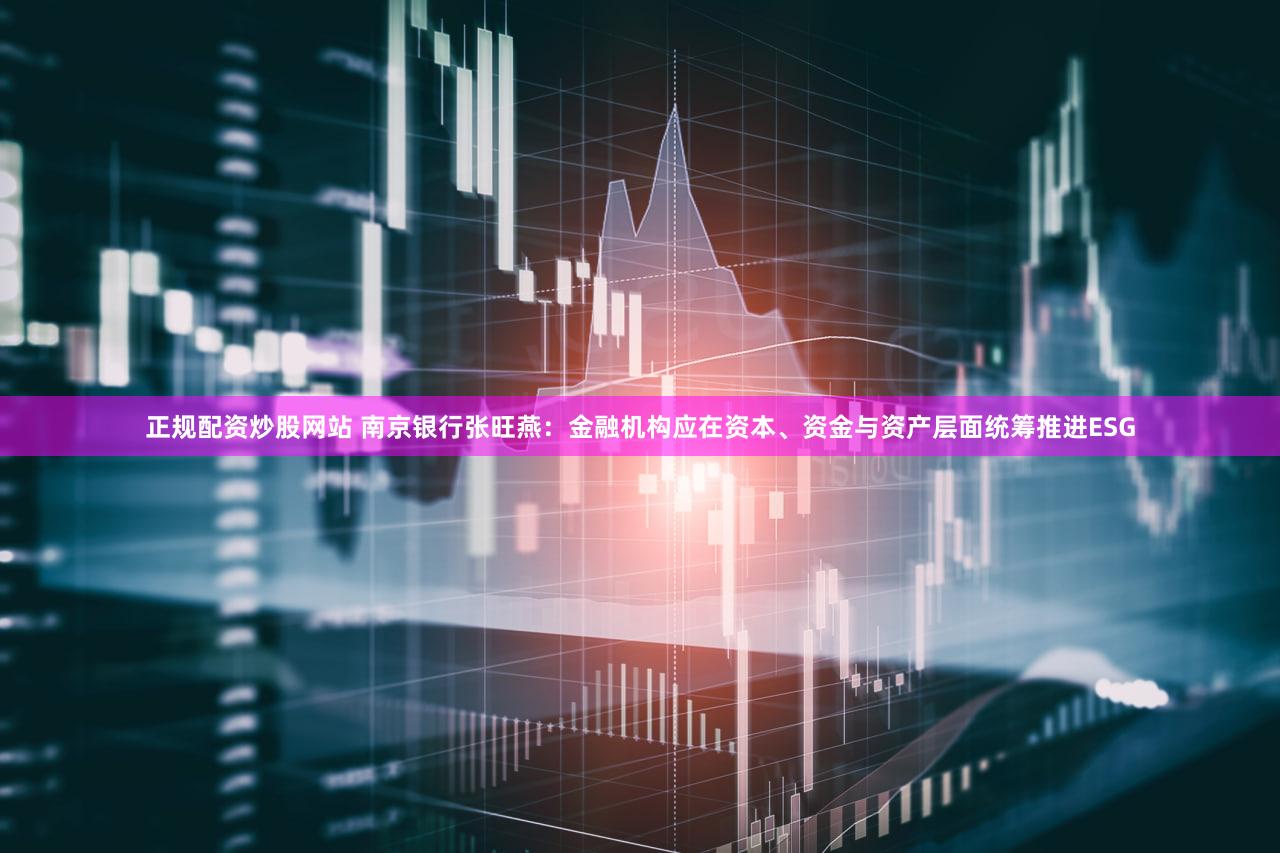 正规配资炒股网站 南京银行张旺燕：金融机构应在资本、资金与资产层面统筹推进ESG