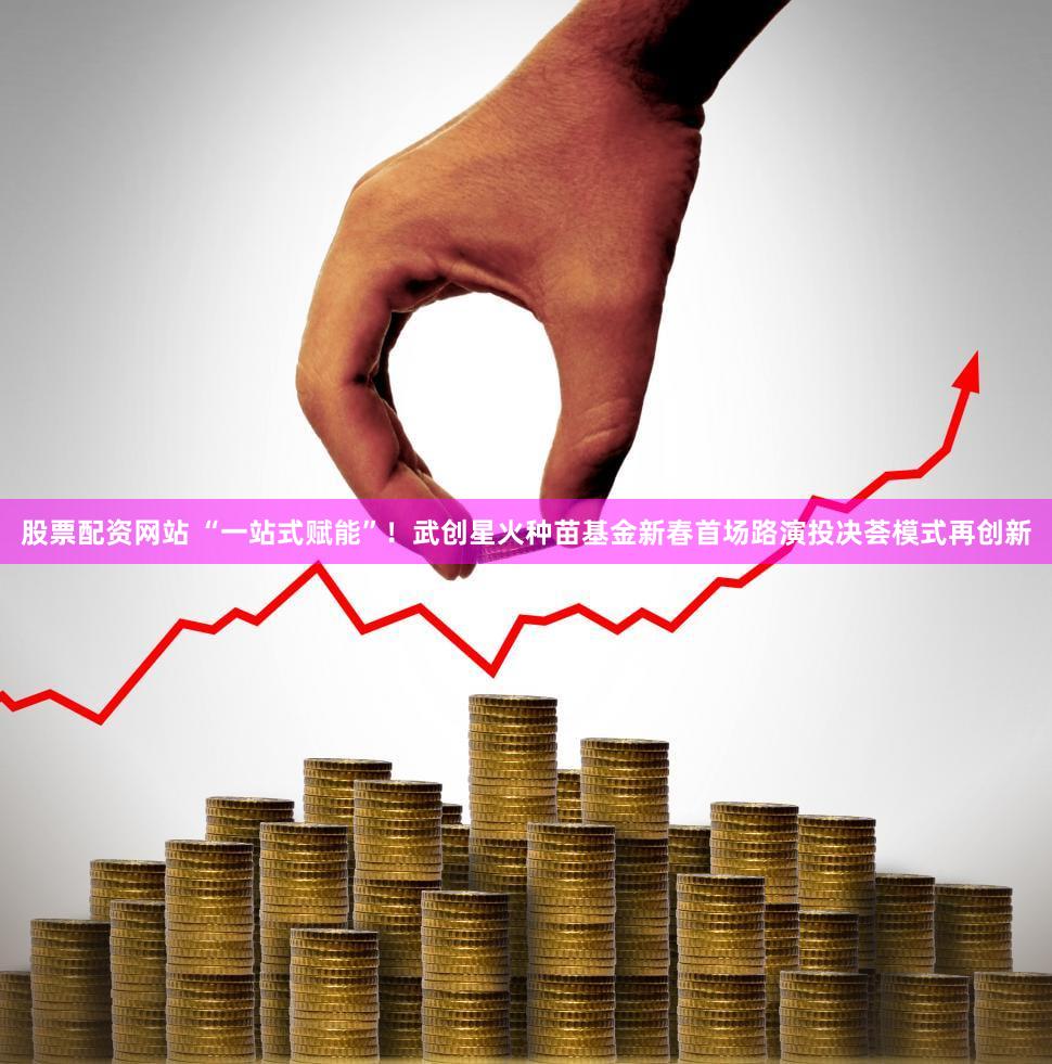 股票配资网站 “一站式赋能”！武创星火种苗基金新春首场路演投决荟模式再创新